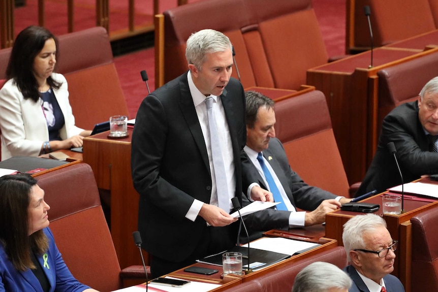 Queensland Labor senator Anthony Chisholm speaks to the Senate, wearing a dark suit and grey tie