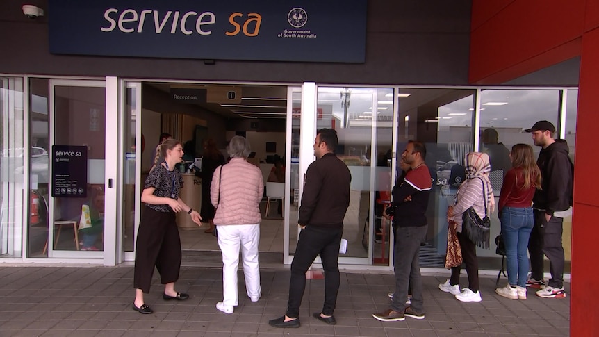 Les victimes de fuites de données d’Optus font face à de longues files d’attente pour changer les numéros de permis de conduire sur les sites de Service SA