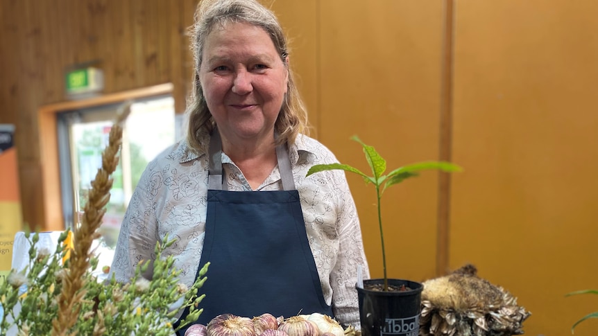 A woman with grey hair wearing a blue apron standing behind a wooden shelf with garlic and plants on it.