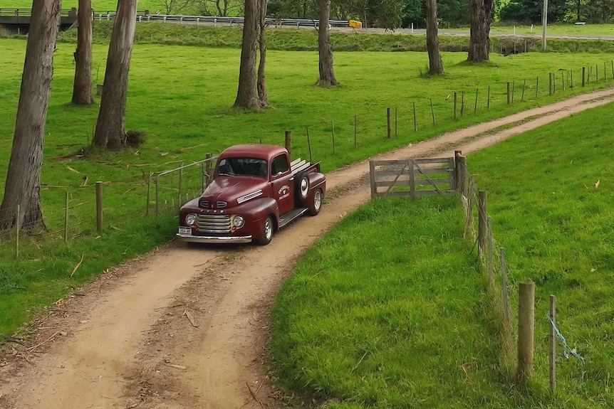 Marron coloured vintage pickup truck driving on narrow gravel farm driveway.