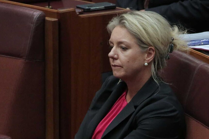 Bridget McKenzie sits in one of the red leather seats in the Senate. Her arm is folded across her lap, her eyes downcast.