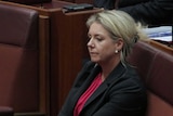 Bridget McKenzie sits in one of the red leather seats in the Senate. Her arm is folded across her lap, her eyes downcast.
