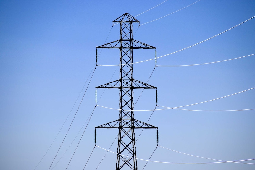 High voltage transmission tower in Tasmania