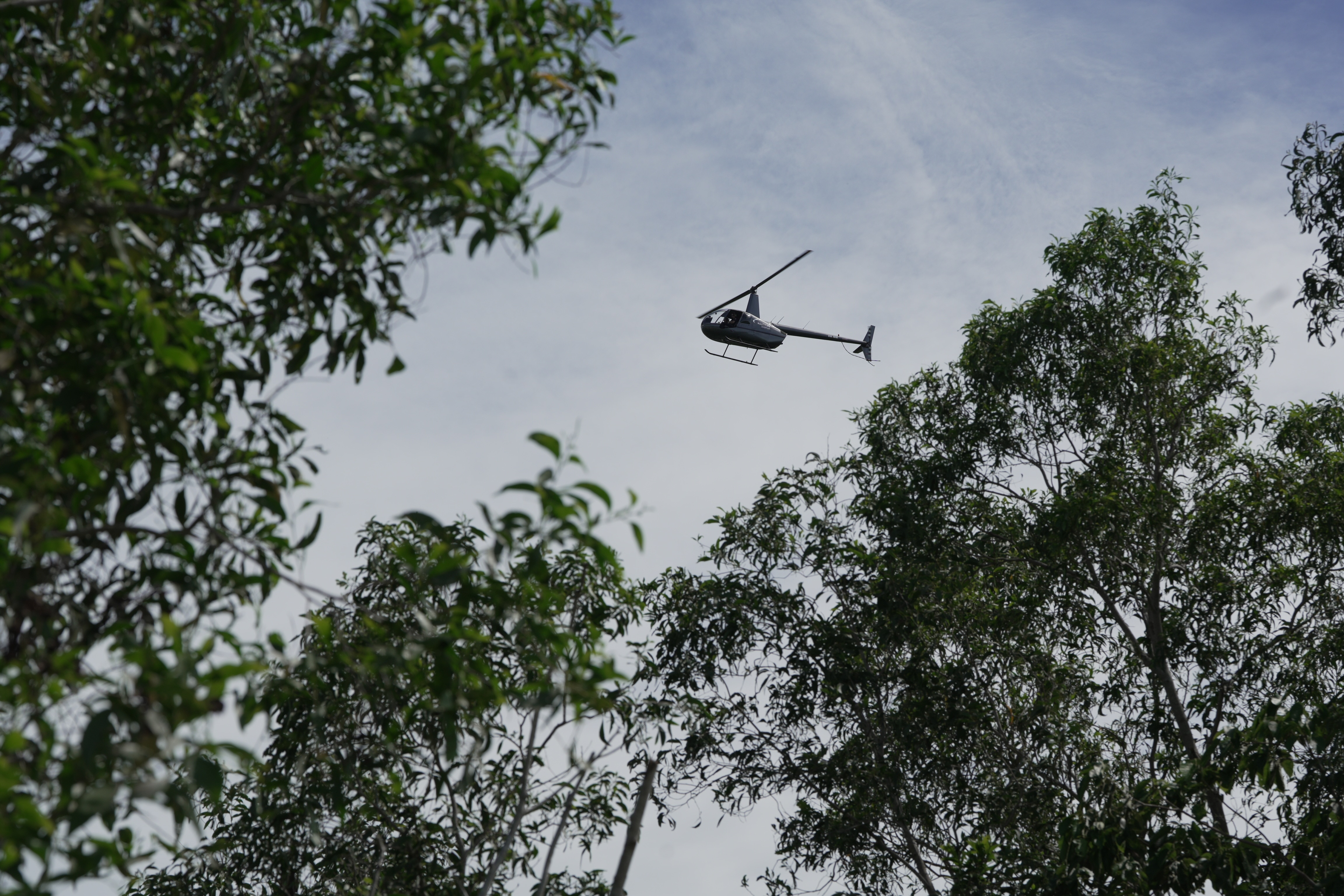 Un helicóptero en el cielo nublado, enmarcado por las copas de los árboles verdes.