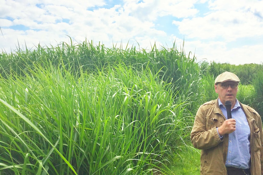 Speaking about Miscanthus in Germany