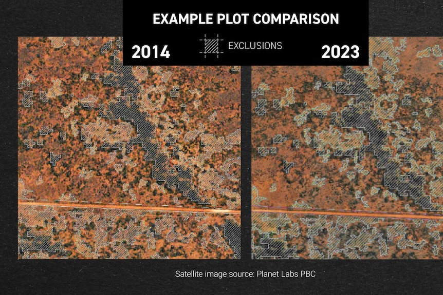 A satellite image from 2014 next to one from 2023 showing how much tree growth there has been in that time.