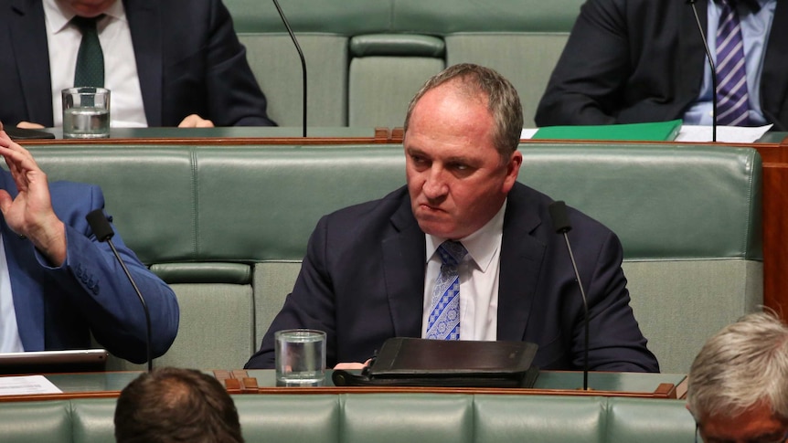 Barnaby Joyce in the House of Representatives, 29 May, 2018.