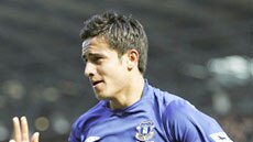 Tim Cahill celebrates a goal for Everton.