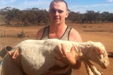 Shearer Sean Harrison holding a shorn sheep.