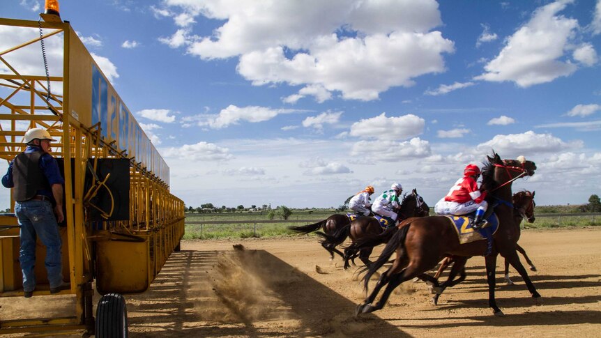 Horses charging forward on a dirt track in Longreach at an outback race event