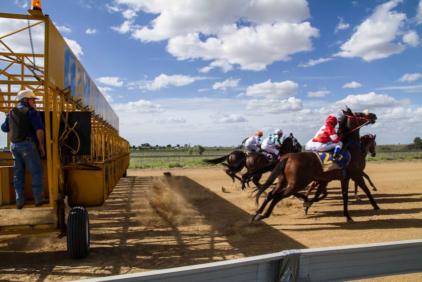 Horses charging forward on a dirt track in Longreach at an outback race event