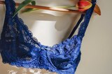 A navy blue lacy bra hangs on a wooden coathanger.