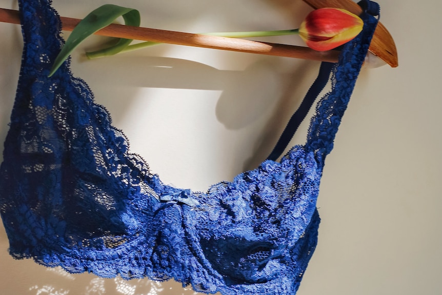 A navy blue lacy bra hangs on a wooden coathanger.