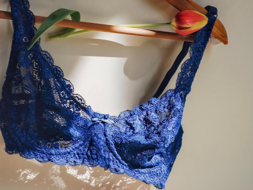 A navy blue lacy bra hangs on a wooden coathanger.