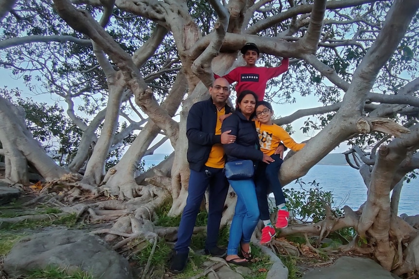 Family of four stand smiling in middle of large tree. 