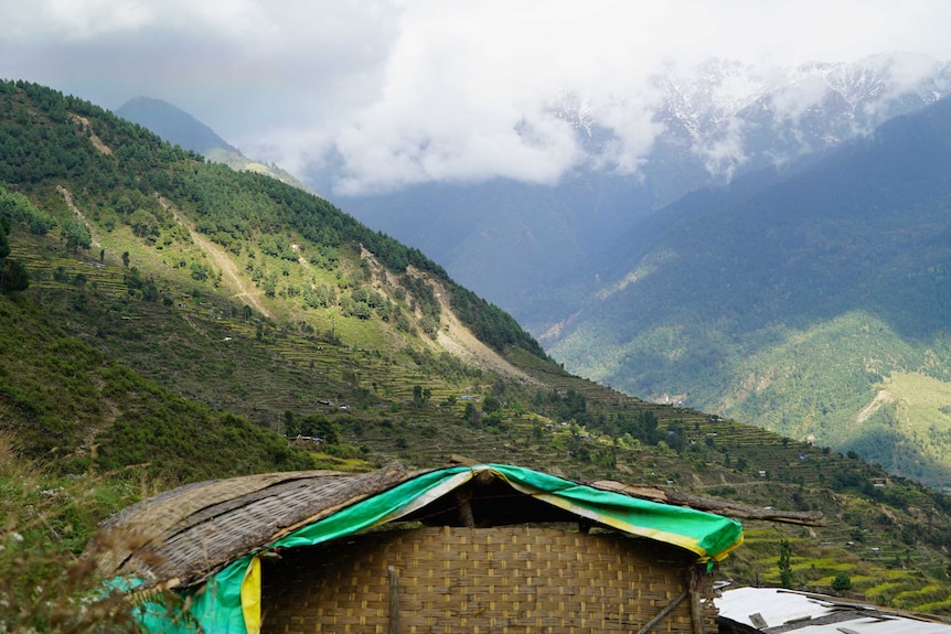 Tarpaulin-covered shelter