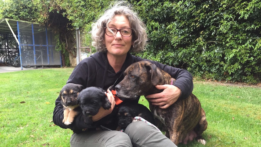 Emma Haswell, the found of Brightside Farm Sanctuary with Lily and three of her puppies