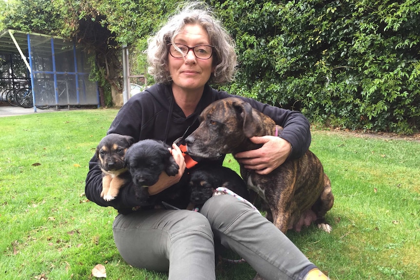 Emma Haswell, the found of Brightside Farm Sanctuary with Lily and three of her puppies