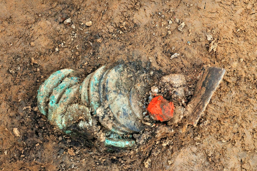 Coins found with soldier's remains