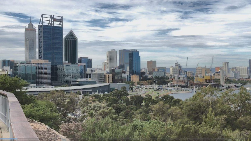 Perth city skyline from Kings Park