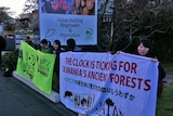 Japanese activists join an anti-logging protest outside Ta Ann Tasmania headquarters in Hobart.