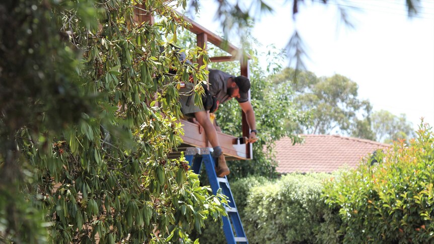 One carpenter leans over deck to polish, while another climbs up a ladder onto the desk. The house is among leafy trees.