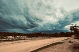 storm clouds form over a dirt road in scrubby bushland