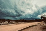 storm clouds form over a dirt road in scrubby bushland