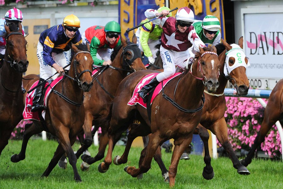 Trust In A Gust wins the Toorak Handicap