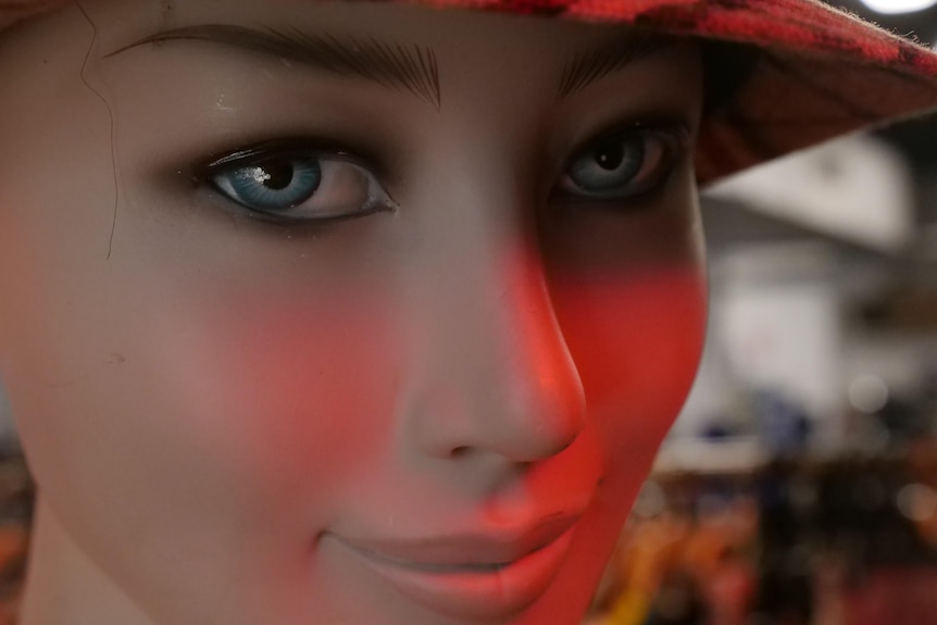 A close up of a mannequin's head in an op-shop.