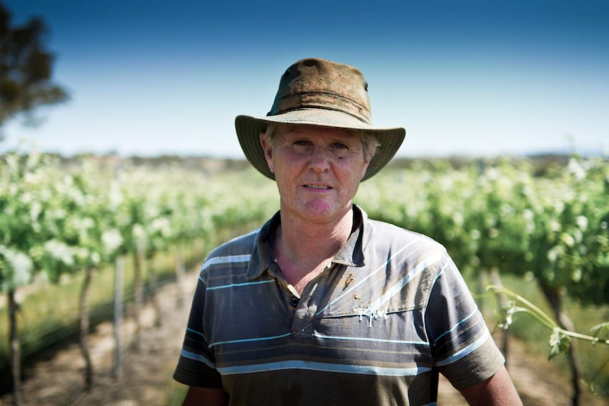 Fifth generation winemaker Ben Thomson at his vineyard.