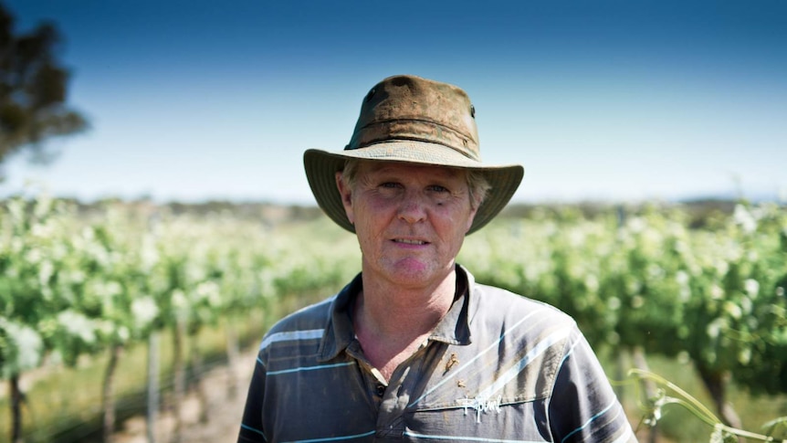 Winery owner at his vineyard