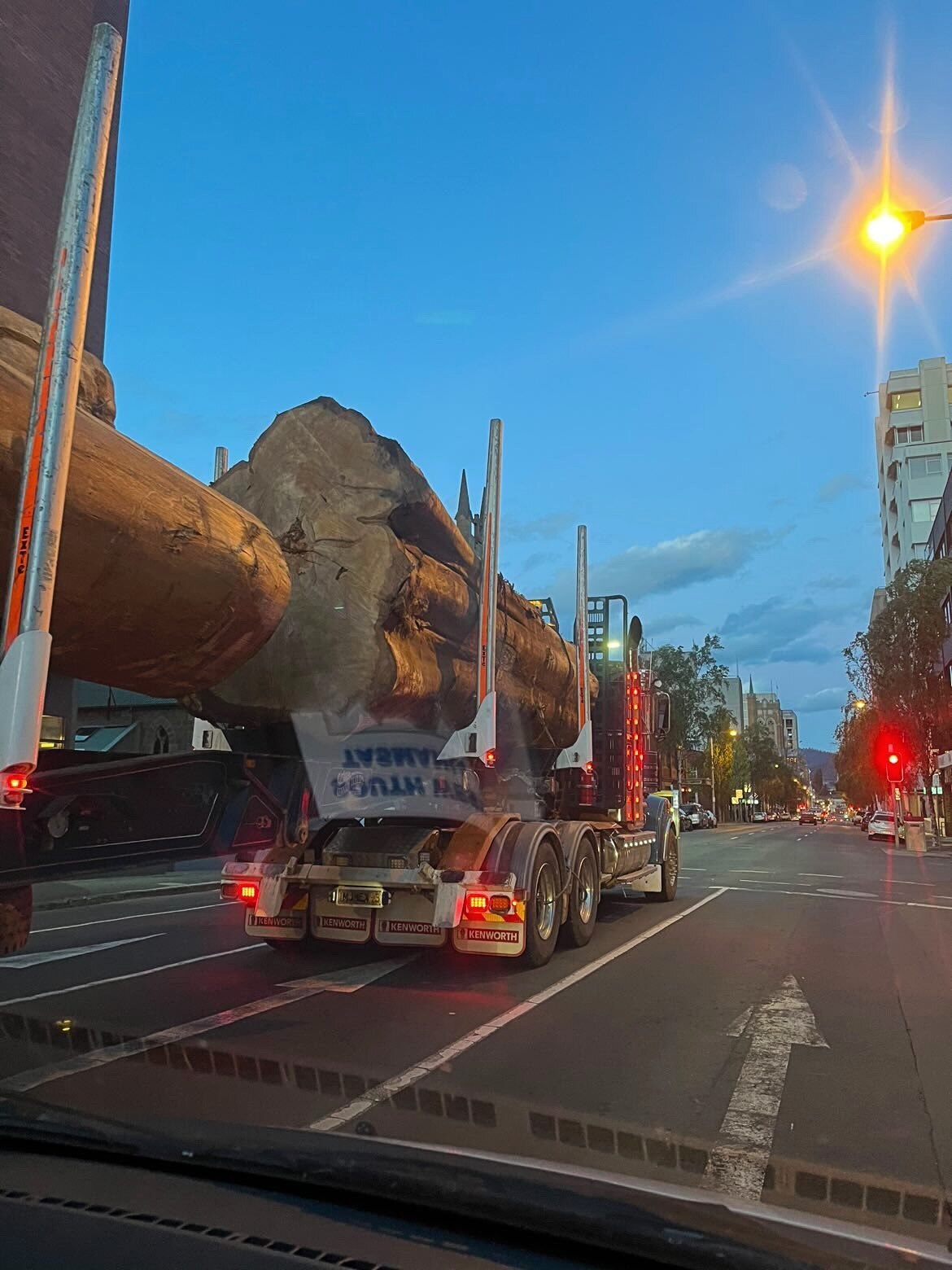 A huge felled tree trunk is transported on the back of a truck through a central Hobart street at night time.