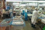 Meat workers at the former King Island abattoir.