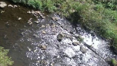 A creek
