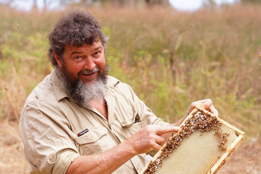Man holding a working beehive screen without gloves