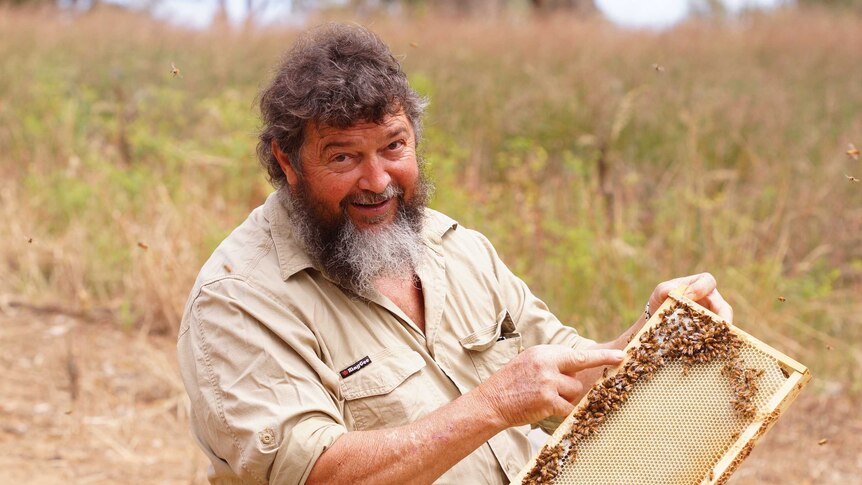 Man holding a working beehive screen without gloves