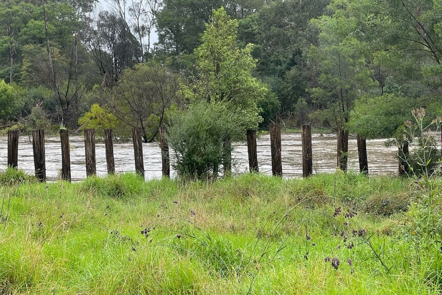 Rising water levels at Cann River 