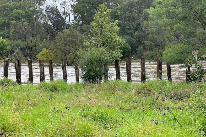 Rising water levels at Cann River 