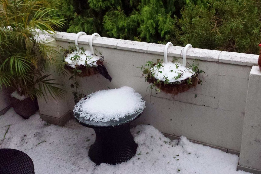 A garden in Summer Hill, Sydney gets covered in hail on April 25, 2015