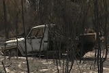 Burnt out car in Lowmead bushfire.