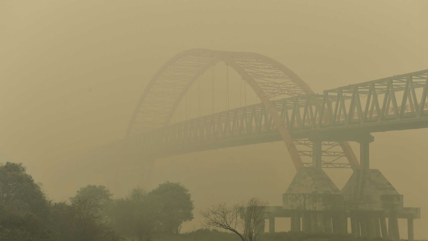 Kahayan bridge is seen through thick yellow haze in Palangkaraya