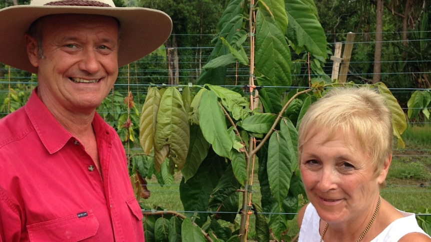 Owners Chris and Lynn Jahnke have planted 2,000 cocoa trees at their farm at Mission Beach.