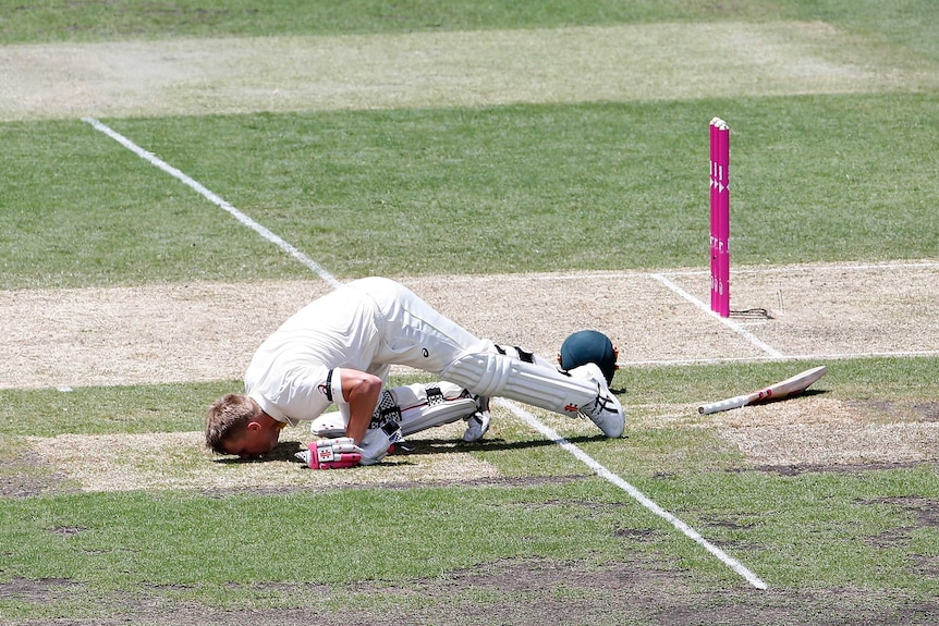 Australia's David Warner kisses the turf after reaching 63 not out against India at the SCG
