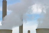 Victoria's brown coal power plants say it will be a decade before they can cut emissions.