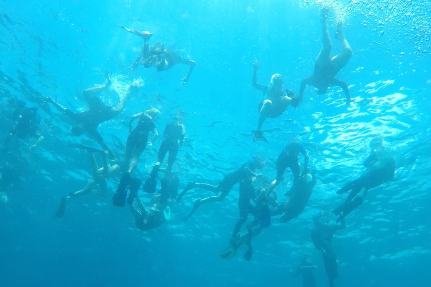 A view from underwater, looking up at a group of people snorkeling, wearing wetsuits.