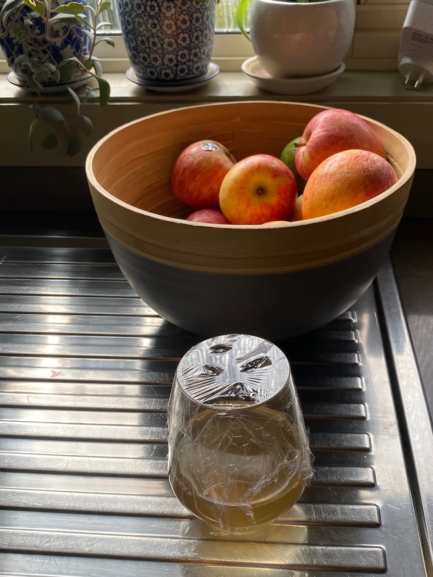 A small glass with apple cider vingar and cling wrap over the top with holes poked through. The glass is next to a fr