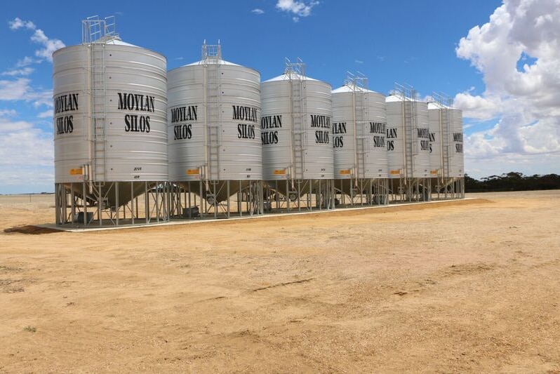 A row of six Moylan silos holding lupin flakes at a Coorow farm