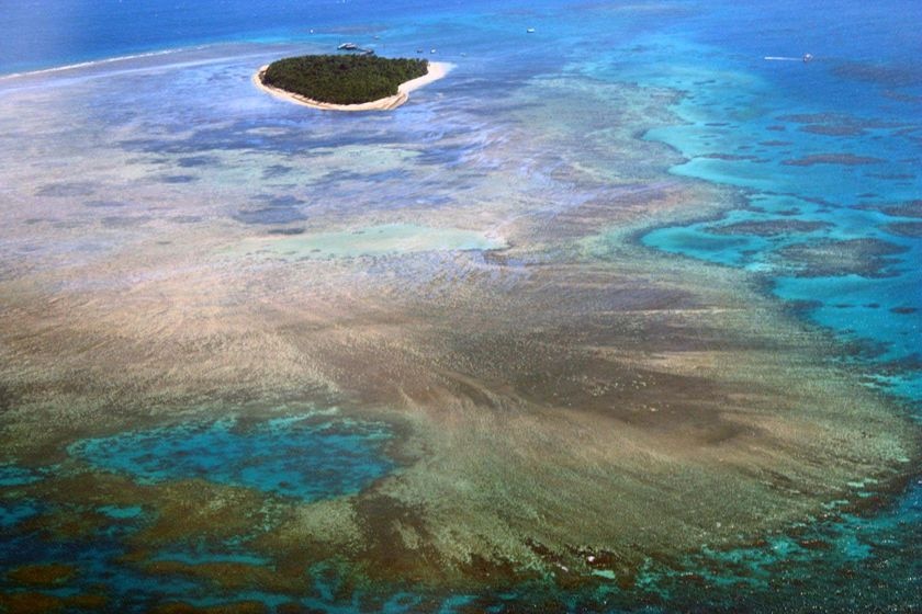 A small tropical island surrounded by sand and blue water in the Great Barrier Reef