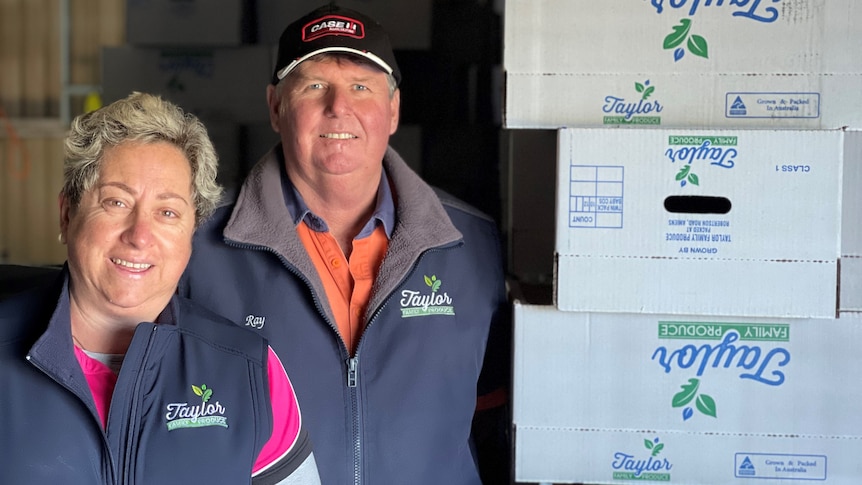 A man and woman standing in a vegetable packing shed next to upside down boxes.